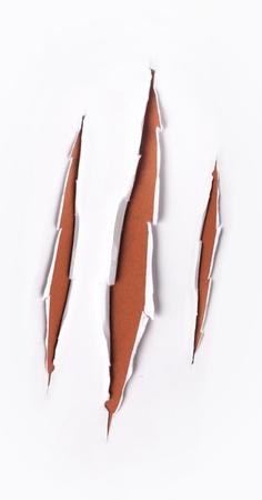 white wreck paper with brown background insideの写真素材