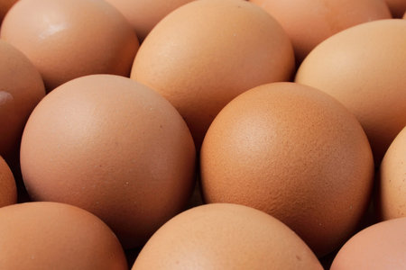 close up of many brown eggs 