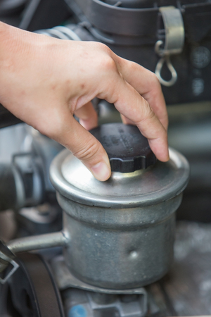 A portrait of a hand checking for power steering oil, machine relatedの写真素材