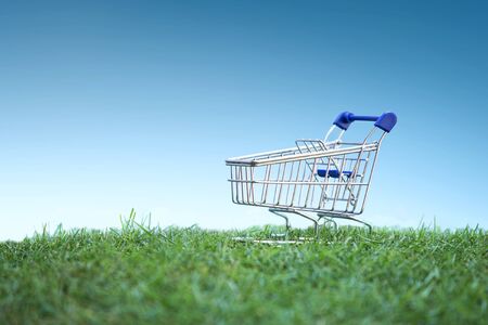 Green Shopping, Environmentally Responsible Consumerism Concept ideaの写真素材