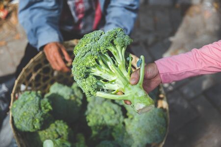 A portrait of hand picking a broccoli in a marketの写真素材