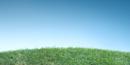 Portrait of a green grass with bokeh backgroundの写真素材
