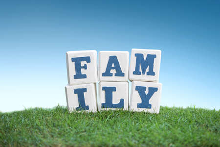 still life of FAMILY sign concept made of wooden blocks on a green grass under the bright blue skyの写真素材
