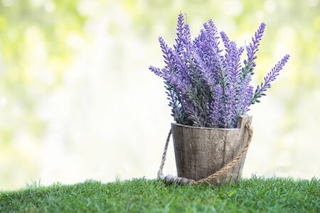 A portrait of a bunch of violet flowers on a wooden pot in green grass. with bokeh backgroundの写真素材