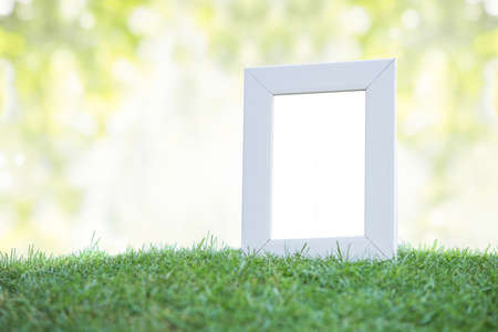A portrait of white frame on green grass. with bokeh backgroundの写真素材