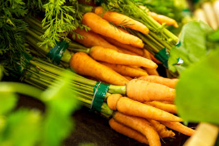 portrait of fresh carrot with leaves at groceryの写真素材