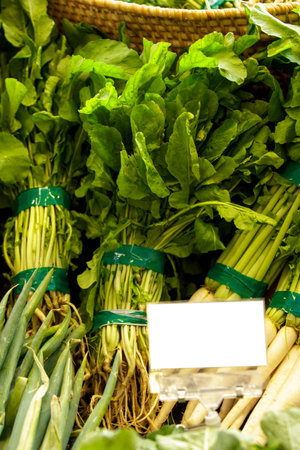 portrait of bunch of fresh green rucola at supermarket