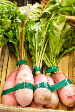 portrait of a group of fresh radish with leaves in basket at grocery