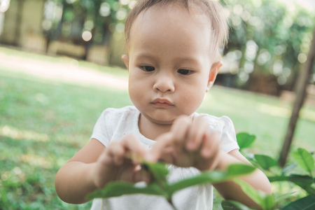 portrait of toddler picking up a flower from a plant in the gardenの写真素材