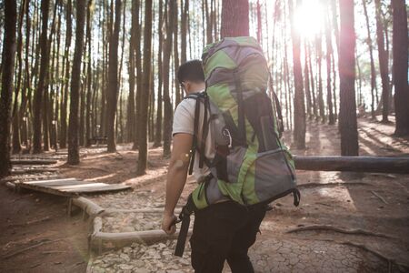 Hiker - portrait of asian man hiking in forest. shoot from behindの写真素材