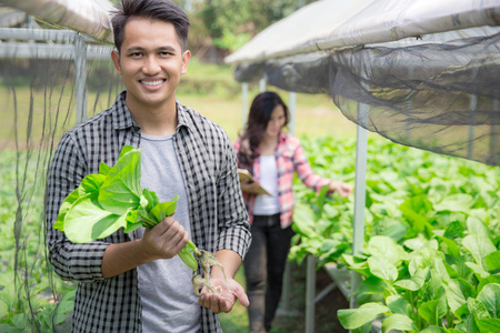 portrait of happy male farmer in modern hydrophonic farmの写真素材