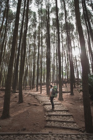 Happy asian hiker. man with backpack hiking in beautiful forestの写真素材