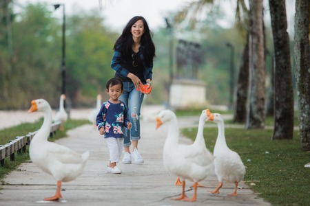 daughter and mother enjoy playing with gooseの写真素材