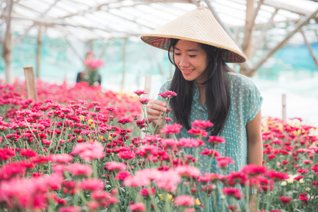 young asian woman working in chamomile flowers farmの写真素材