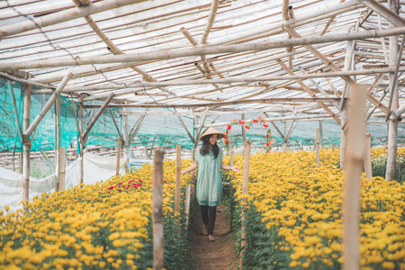 woman walking in between chamomile flower in the farmの写真素材