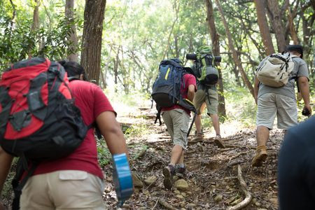 friends hiking in outdoor summer activity