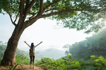 woman in a valley with a lots of trees, raise handsの写真素材