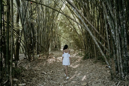 exotic young asian woman in bamboo forestの写真素材