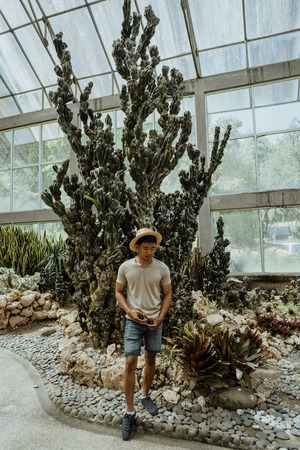 man standing in front of big cactus treeの写真素材