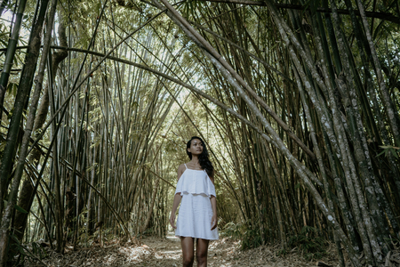 woman in white dress enjoying nature in bamboo forestの写真素材