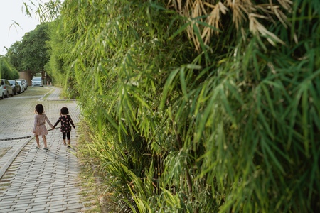 children walking holding hands when coming home after playing in the parkの写真素材