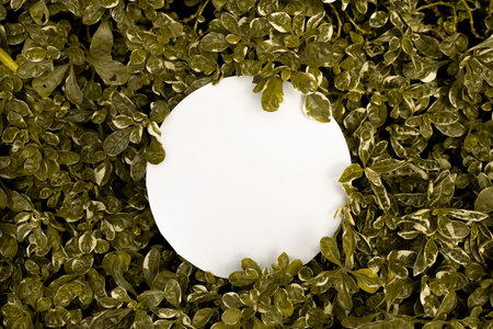 plant pattern tropical leaf background design portrait