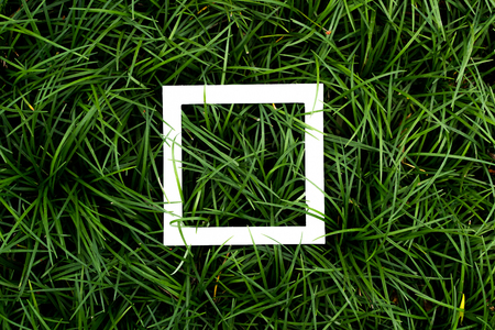 design layout on plant texture pattern with white paper creative spaceの写真素材