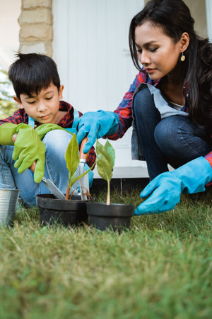 asian mom and her son planting a plant at home garden