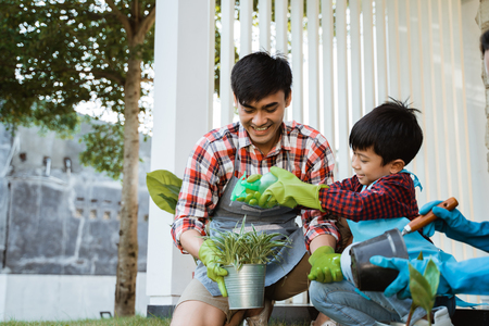 family and kid water spray a young plant in the pot at homeの写真素材