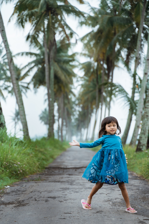 coconut country roadの写真素材