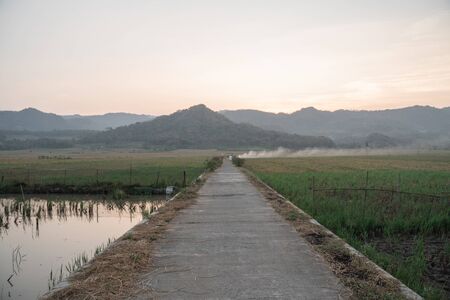 country road with rice fieldの写真素材