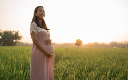 pregnant woman in rice field on sunset dayの写真素材