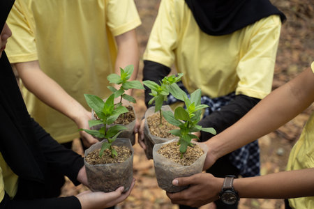 Asian young of volunteers carrying new trees