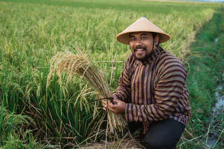 smile asian farmer holding paddy rice grain