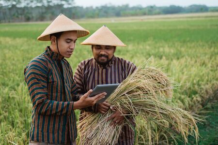 two traditional farmer using smart technology farmingの写真素材