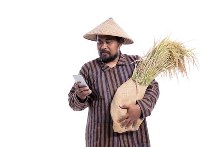 farmer using smartphone while holding a rice grainの写真素材