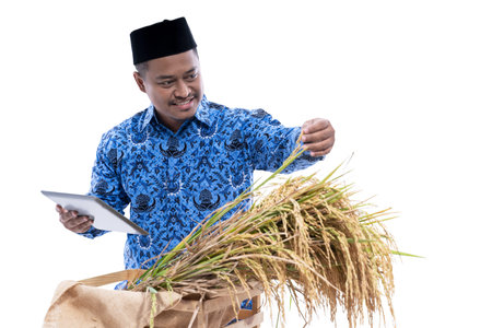 asian man with batik checked quality of rice grain