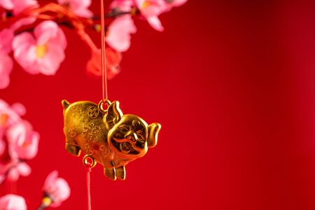 Chinese new year accessories hanging on the branchの写真素材