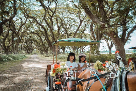 two children sit in the dokarの写真素材