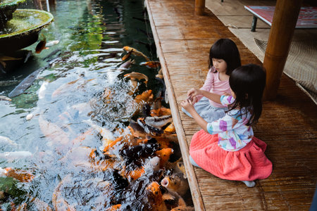 two little girls having fun feeding koi fish
