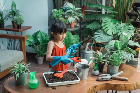 kid planting and gardening activity at homeの写真素材