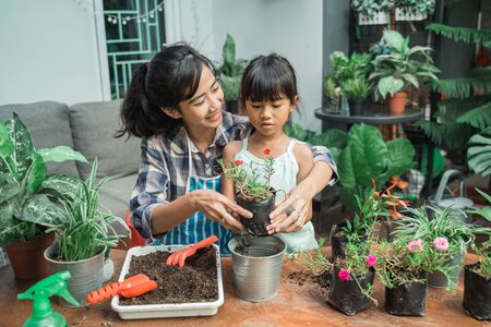 kid learng how to do gardening planting some plantsの写真素材