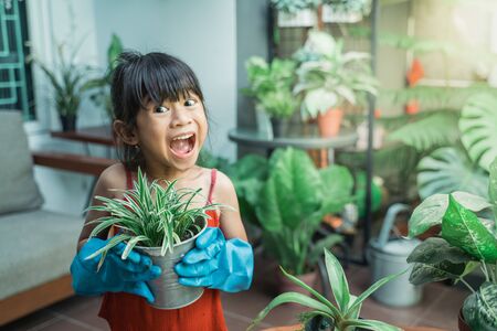 little girl gardening activity at homeの写真素材