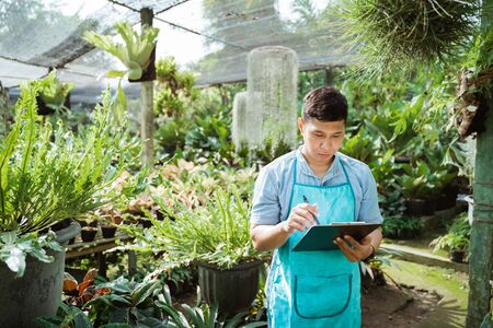 gardener or botanic worker checking some plantsの写真素材