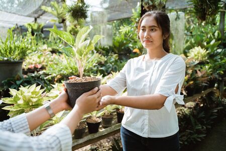 customer buying some plantsの写真素材