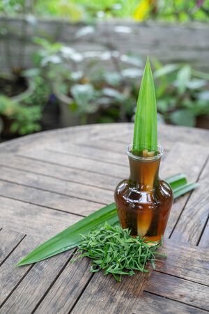 lemongrass and pandan drink with pandan leaves garnishの写真素材
