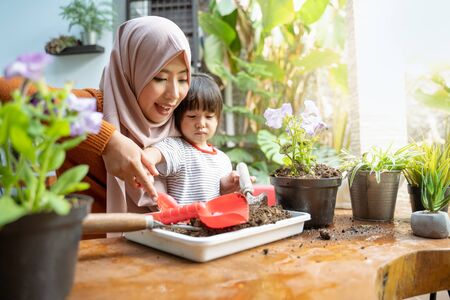 Asian mother helps her daughter take soil with a small shovel from a tray for planting mediaの写真素材