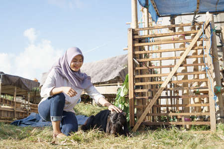 muslim female farmer feeding animalの写真素材