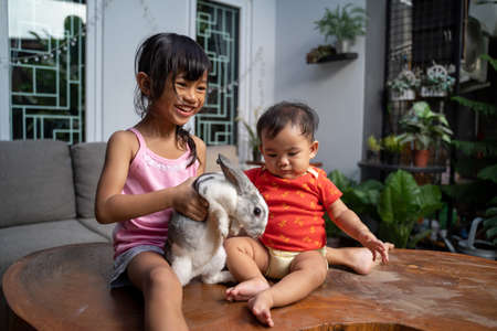 Children play with real rabbit. Little baby girl playing with animal in the houseの写真素材