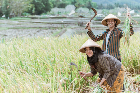 Happy farmers with their hands raised carrying rice plants and sickle while harvesting